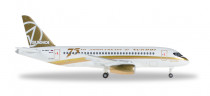 529310 Сухой Суперджет 100 Center South юбилейный 75 лет 1:500